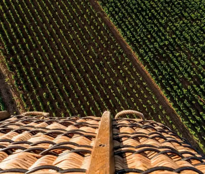Burgundy Beaune Flight Tickets Balloon ride France Montgolfières