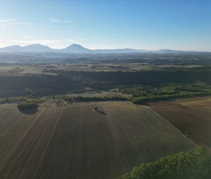 Billet de vol en montgolfière à Puimoisson, Provence