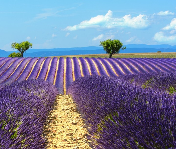 Billet de vol en montgolfière à Puimoisson, Provence