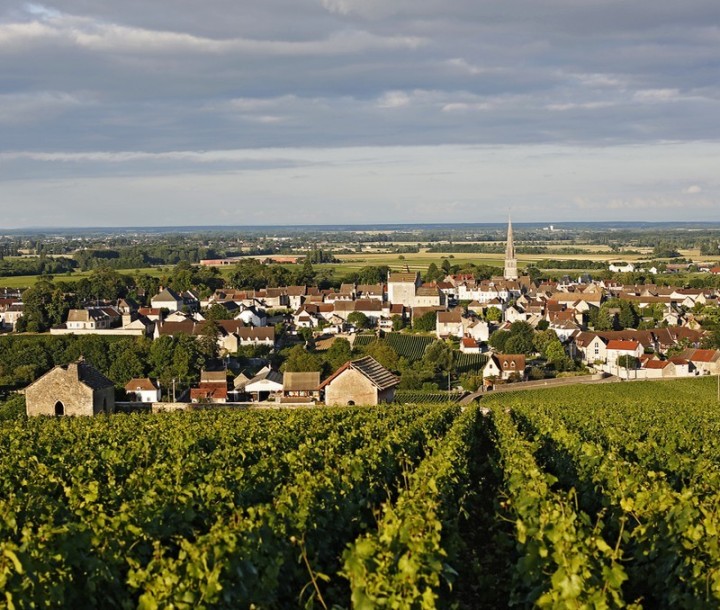 Nacelle privative Bourgogne Beaune vol en montgolfière Bourgogne Beaune Pommard France Montgolfières