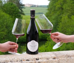 Burgundy Experience and balloon flight ticket France Montgolfières Beaune Pommard