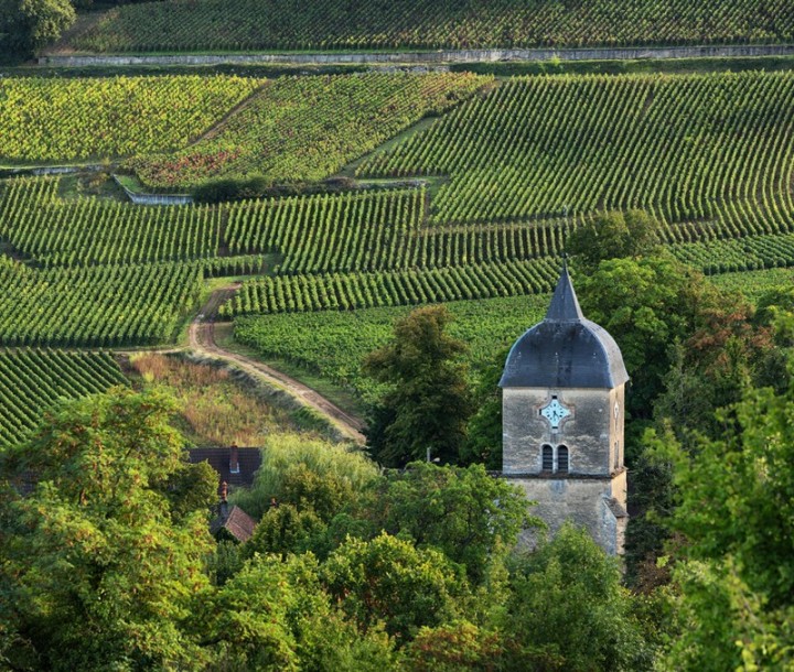 Vol et dégustation au Château de Pommard, Beaune, vol en montgolfière, billet de vol Pommard France Montgolfières Beaune, Bourgo