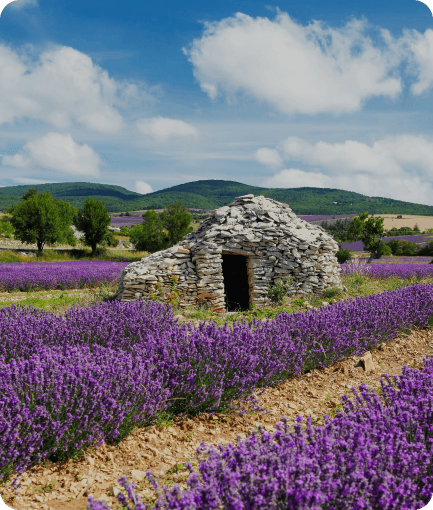 La Provence