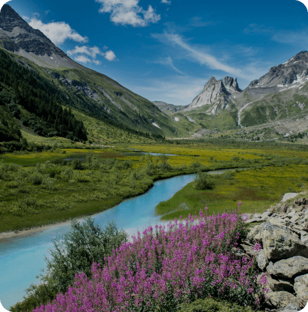 Les Pyrénées