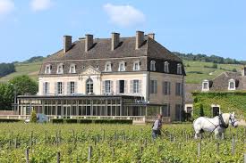Château de Pommard Activités autour de Beaune France Montgolfières Bourgogne